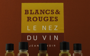 Le Nez du Vin Jean Lenoir Blancs & Rouges 24 Armes