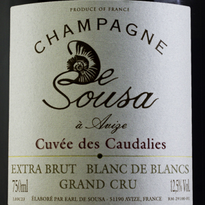 Champagne De Sousa Cuve des Caudalies Extra Brut