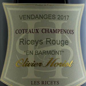 Côteaux Champenois Olivier Horiot En Barmont 2017 Rouge   
