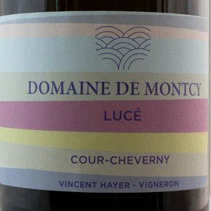 Cour Cheverny Domaine Montcy "Lucé" 2020