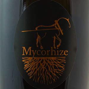 Champagne De Sousa Cuvée Mycorhize