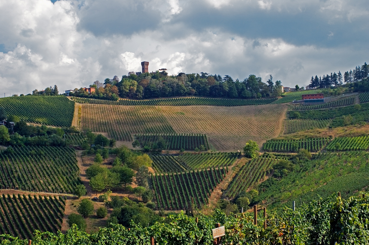 Paysage Vignoble Lombardie Italie