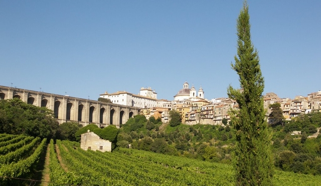 Paysage Vignoble Latium Italie