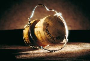 Tout sur les Terroirs du Champagne : Carte, Cépages et Conseils de Dégustation