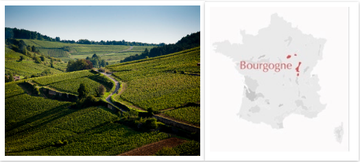 Vins Millesimes et Saveurs Bourgogne